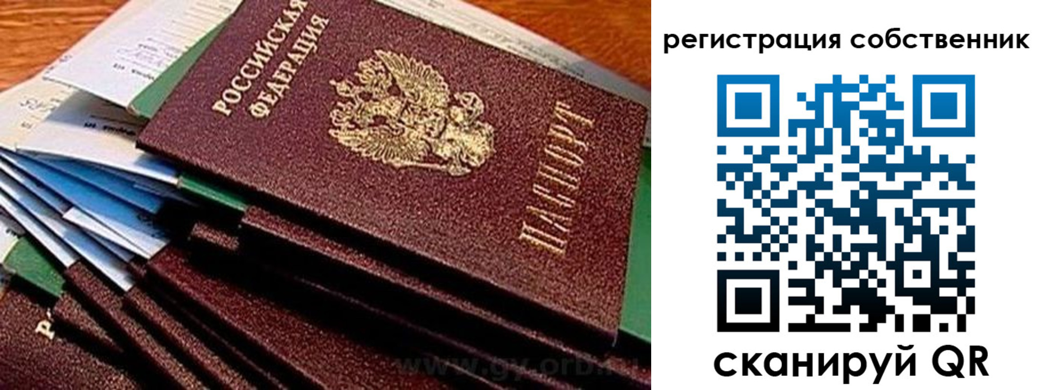 прописка регистрация в Петропавловске-Камчатском
